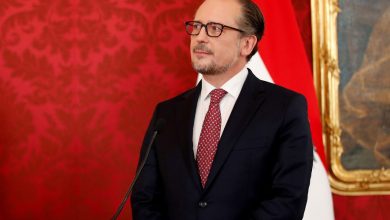 Фото - Глава МИД Австрии заявил о возможности постепенного снятия санкций с России