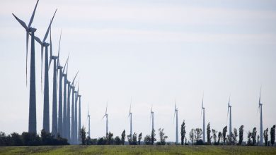 Фото - Глобальный энергокризис поможет ускорить переход к возобновляемой энергетике