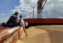 Фото - La Stampa: итальянские аграрии опасаются роста цен на злаки из-за срыва зерновой сделки
