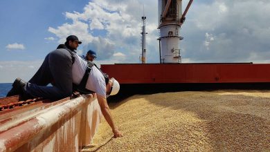 Фото - La Stampa: итальянские аграрии опасаются роста цен на злаки из-за срыва зерновой сделки