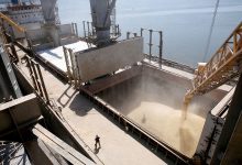 Фото - Абрамченко заявила, что таможенная комиссия одобрила экспортную квоту на 25,5 млн тонн зерна