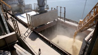 Фото - Абрамченко заявила, что таможенная комиссия одобрила экспортную квоту на 25,5 млн тонн зерна