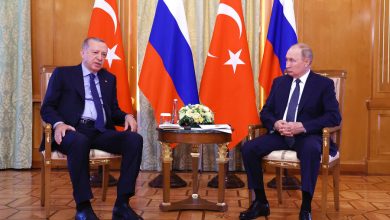 Фото - Эрдоган обсудил с Путиным по телефону зерновую сделку и проект газового хаба